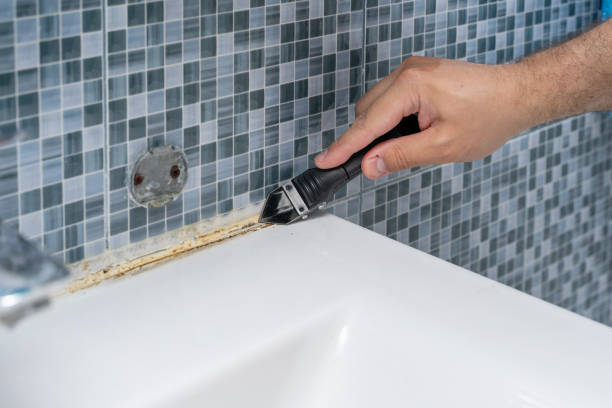 Best Water Damage Restoration  in South Bloomfield, OH